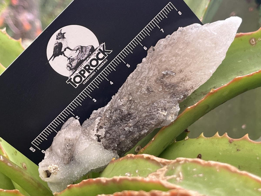 Natural Drusy Quartz Coated Spearhead Calcite Specimen x 1 From Albert's Mountain, Lesotho