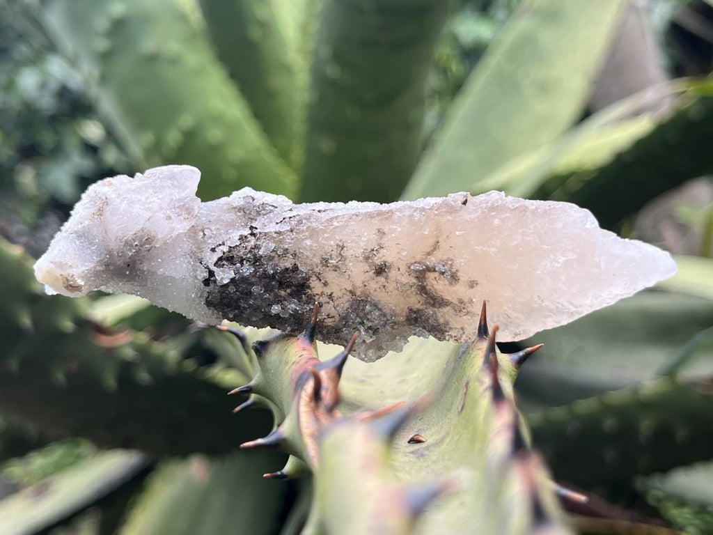 Natural Drusy Quartz Coated Spearhead Calcite Specimen x 1 From Albert's Mountain, Lesotho