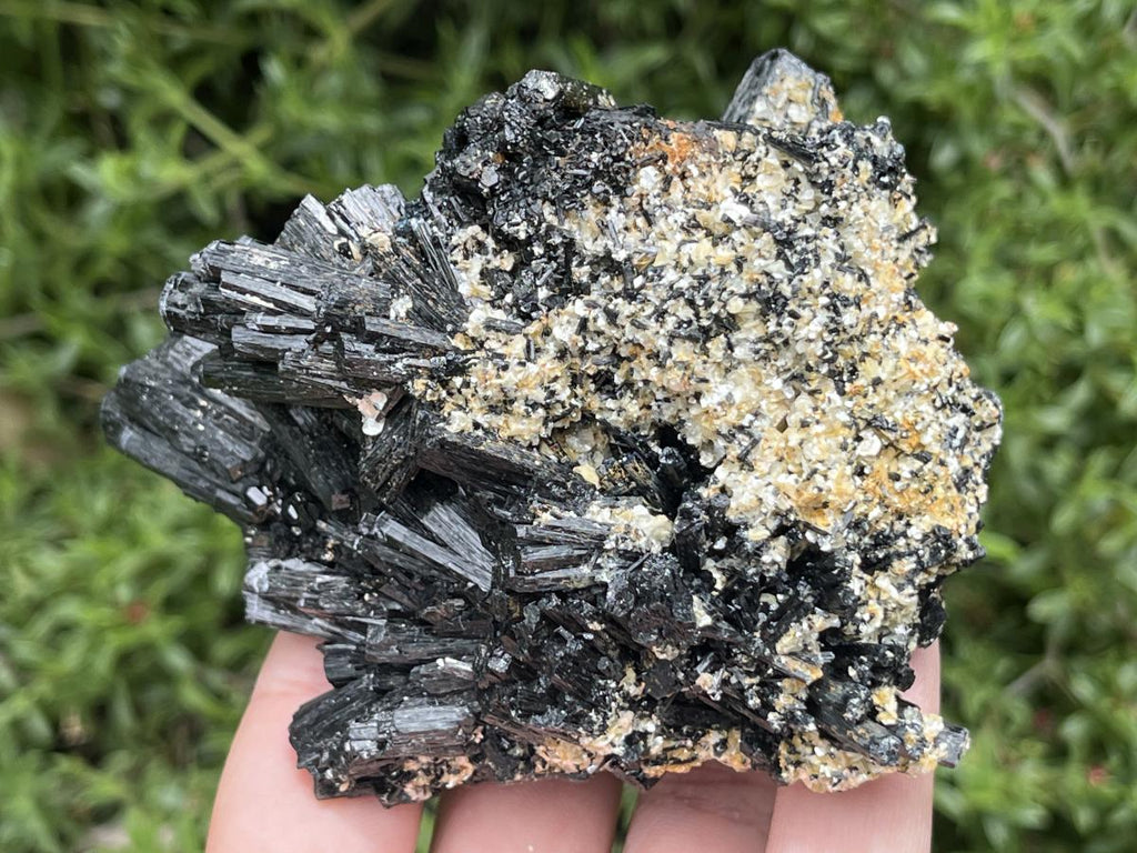 Natural Schorl Black Tourmaline With Vermiculite Specimen x 1 From Erongo, Namibia
