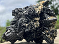 Natural Schorl Black Tourmaline With Vermiculite Specimen x 1 From Erongo, Namibia