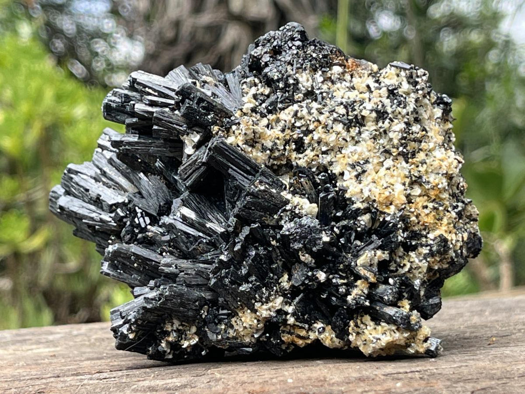 Natural Schorl Black Tourmaline With Vermiculite Specimen x 1 From Erongo, Namibia