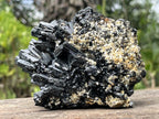 Natural Schorl Black Tourmaline With Vermiculite Specimen x 1 From Erongo, Namibia