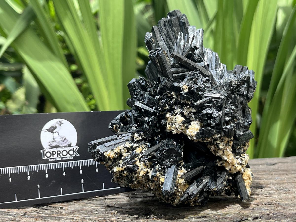 Natural Schorl Black Tourmaline With Vermiculite Specimen x 1 From Erongo, Namibia