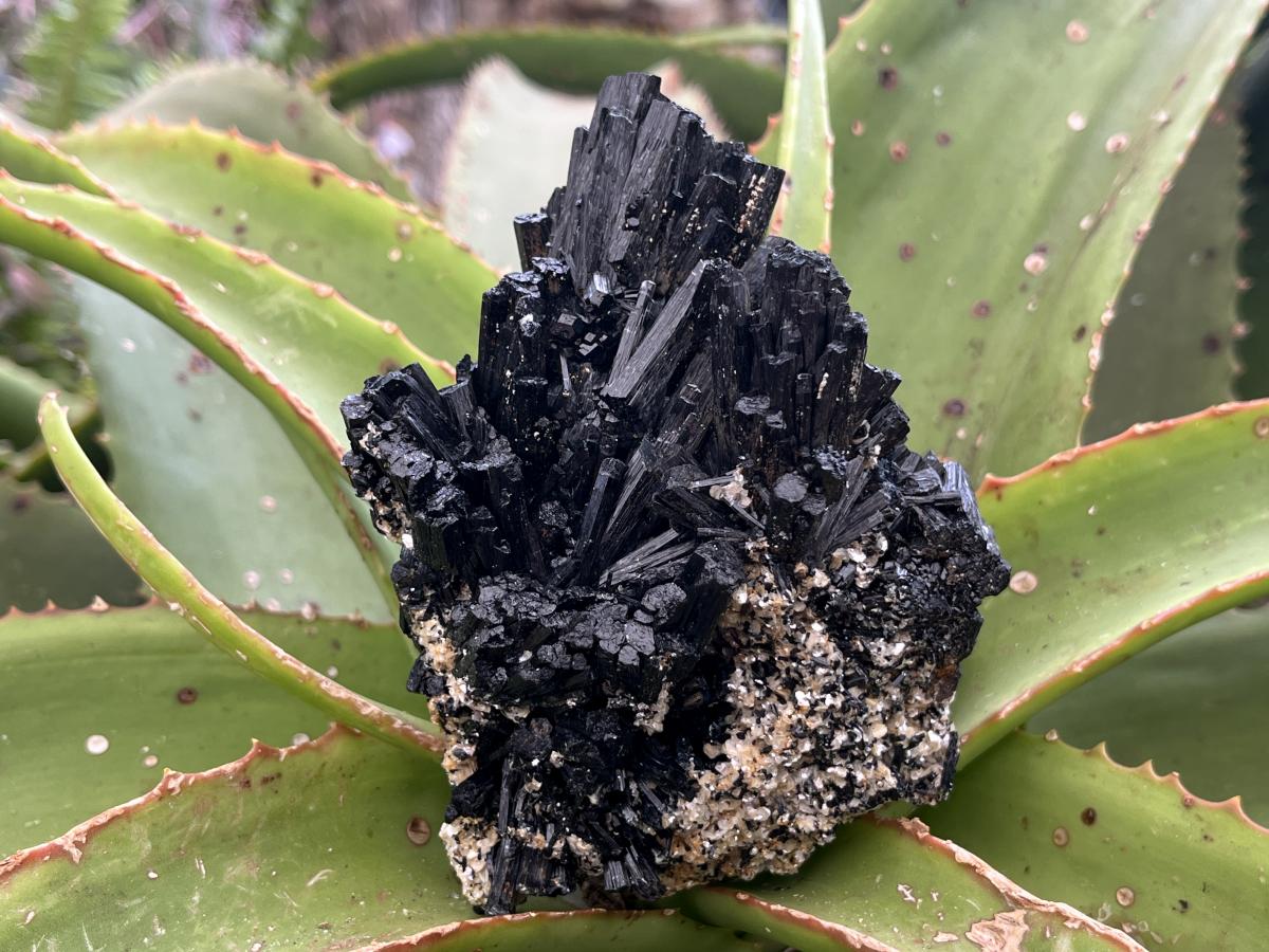 Natural Schorl Black Tourmaline With Vermiculite Specimen x 1 From Erongo, Namibia