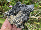 Natural Schorl Black Tourmaline With Vermiculite Specimen x 1 From Erongo, Namibia