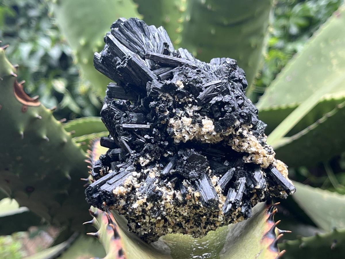 Natural Schorl Black Tourmaline With Vermiculite Specimen x 1 From Erongo, Namibia