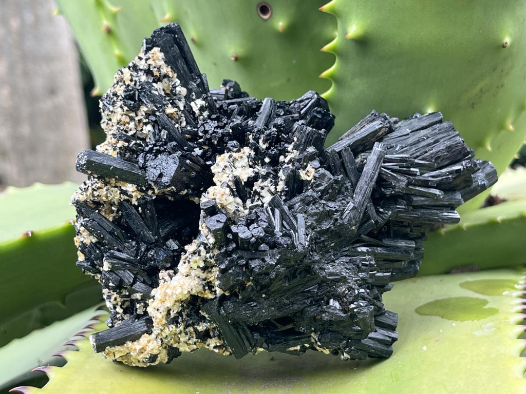 Natural Schorl Black Tourmaline With Vermiculite Specimen x 1 From Erongo, Namibia