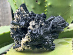 Natural Schorl Black Tourmaline With Vermiculite Specimen x 1 From Erongo, Namibia