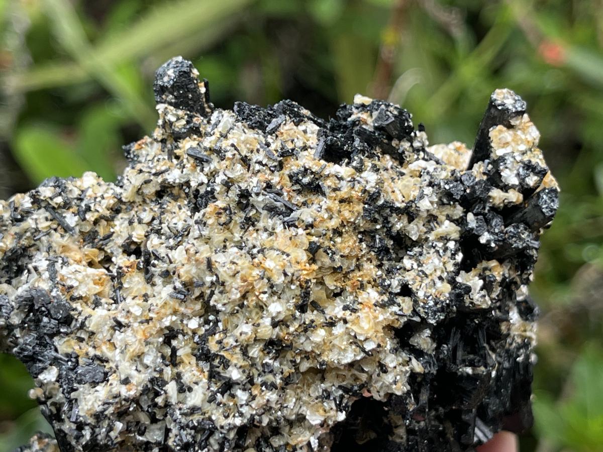 Natural Schorl Black Tourmaline With Vermiculite Specimen x 1 From Erongo, Namibia