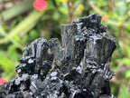Natural Schorl Black Tourmaline With Vermiculite Specimen x 1 From Erongo, Namibia