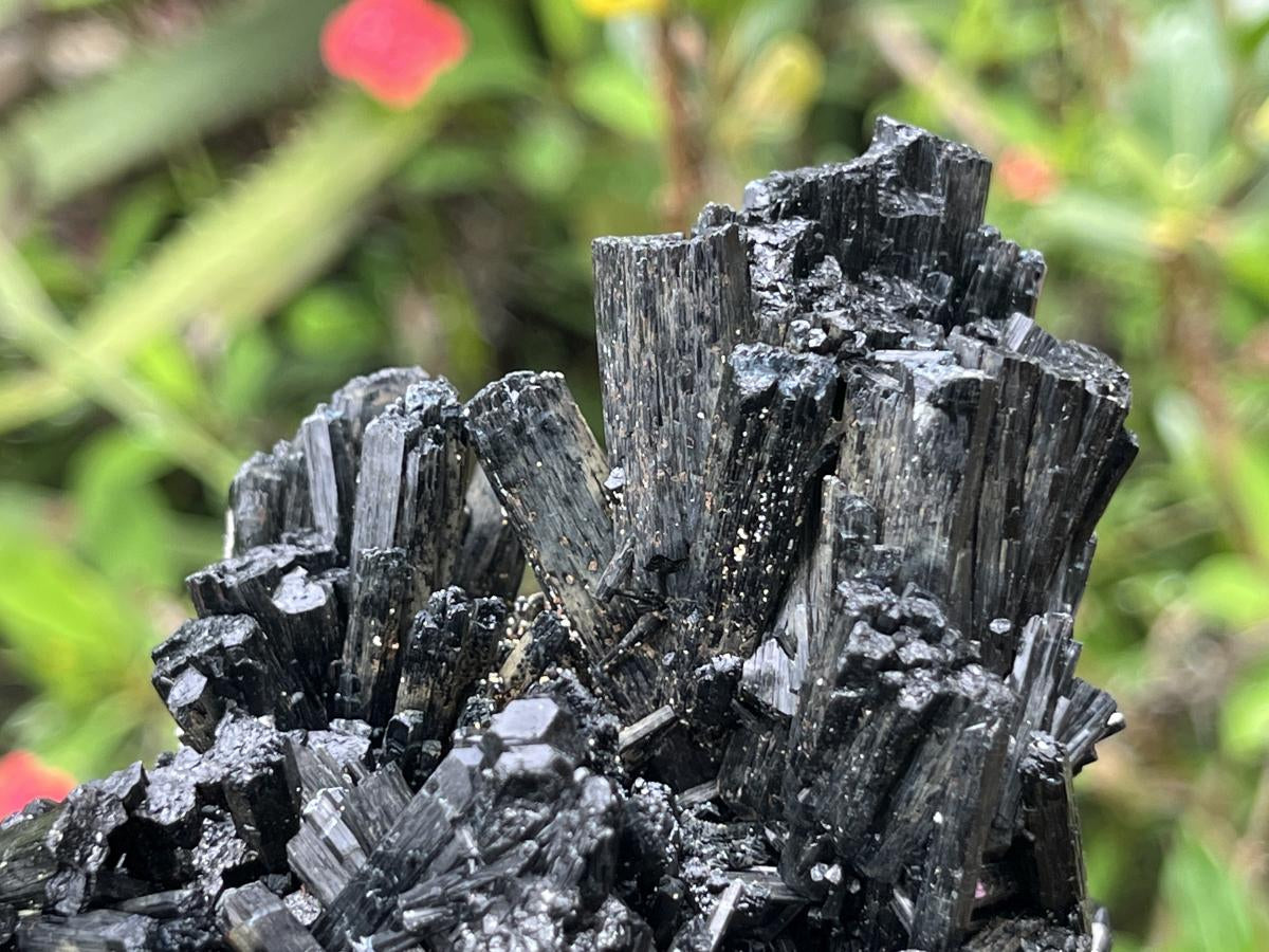 Natural Schorl Black Tourmaline With Vermiculite Specimen x 1 From Erongo, Namibia