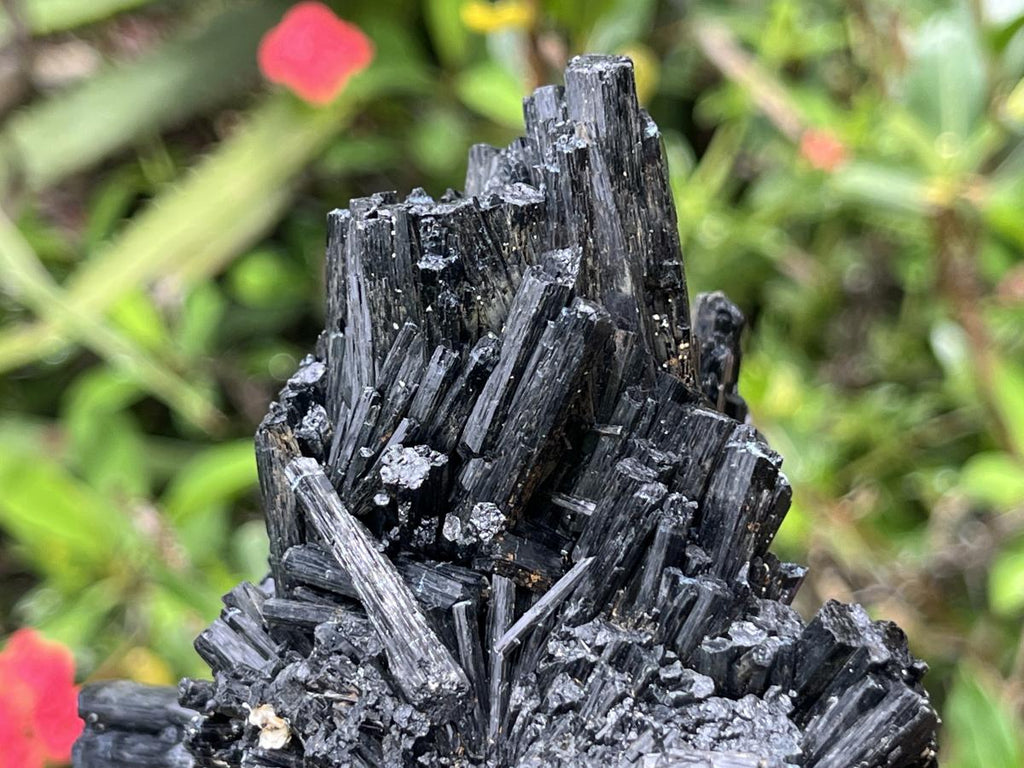 Natural Schorl Black Tourmaline With Vermiculite Specimen x 1 From Erongo, Namibia