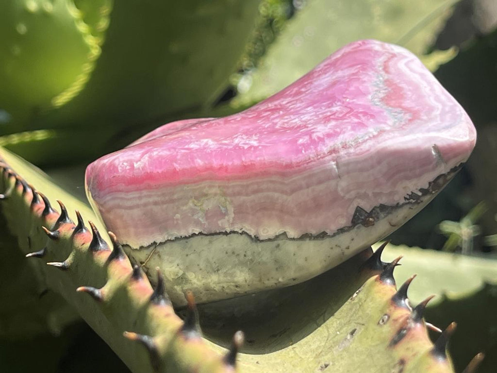 Polished Cobaltion Calcite On Dolomite Free Form x 1 From Kakanda, Congo