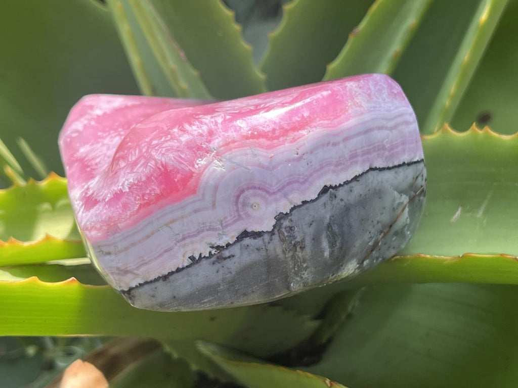 Polished Cobaltion Calcite On Dolomite Free Form x 1 From Kakanda, Congo