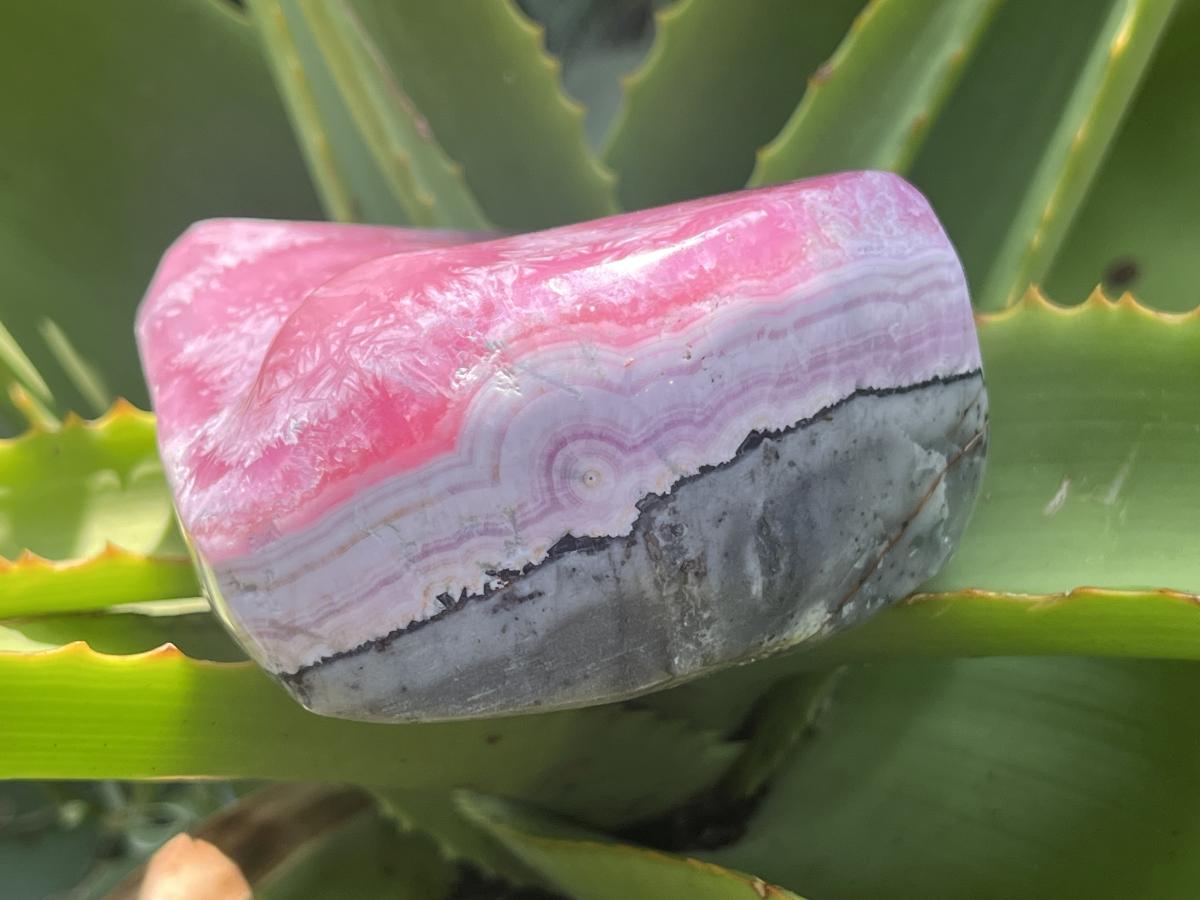 Polished Cobaltion Calcite On Dolomite Free Form x 1 From Kakanda, Congo