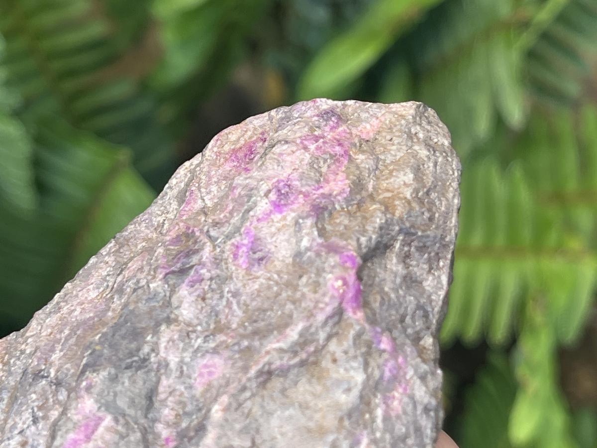 Natural Sugilite Specimen x 1 From Wessels Mine , Northern Cape ,South Africa