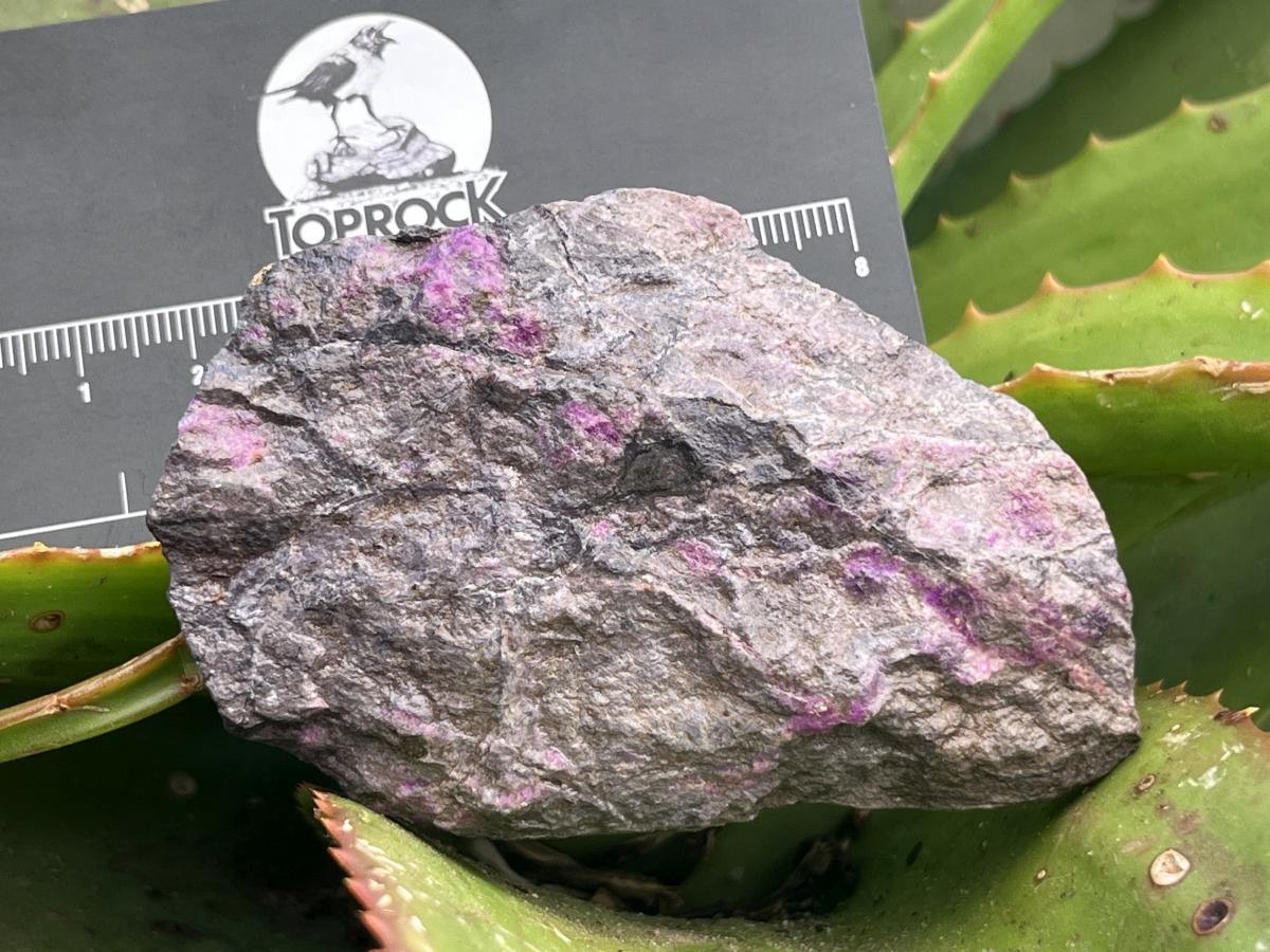 Natural Sugilite Specimen x 1 From Wessels Mine , Northern Cape ,South Africa