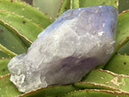 Polished Kalomo Amethyst Crystal x 1 from Kalomo, Zambia