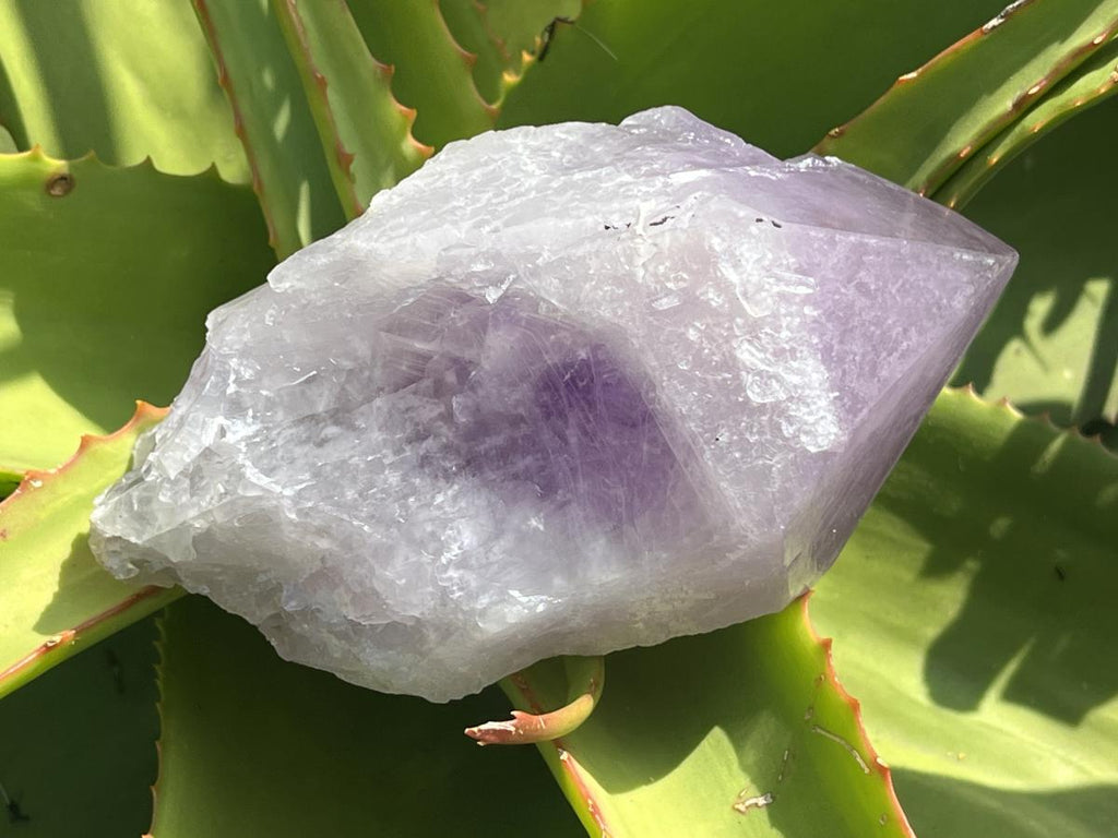 Polished Kalomo Amethyst Crystal x 1 from Kalomo, Zambia