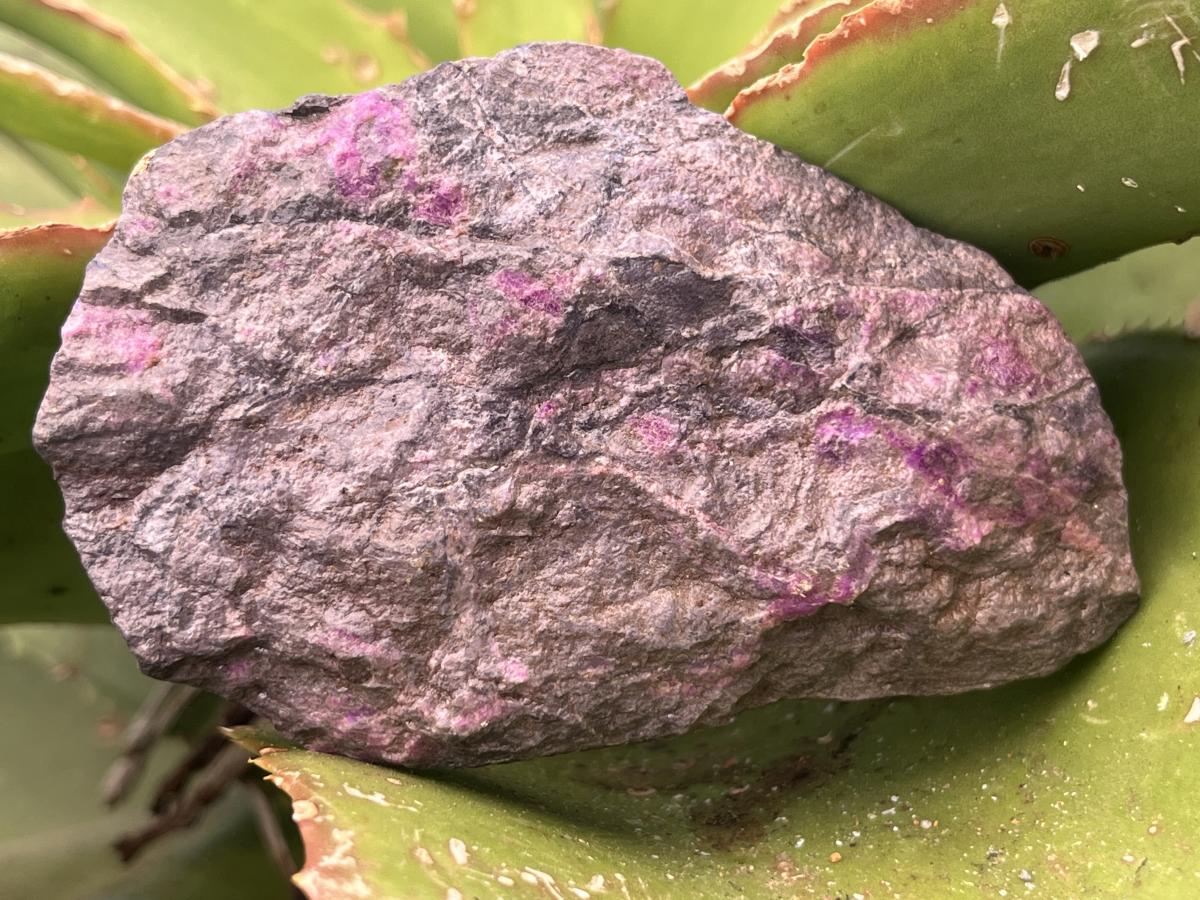 Natural Sugilite Specimen x 1 From Wessels Mine , Northern Cape ,South Africa