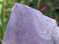 Polished Kalomo Amethyst Crystal x 1 from Kalomo, Zambia