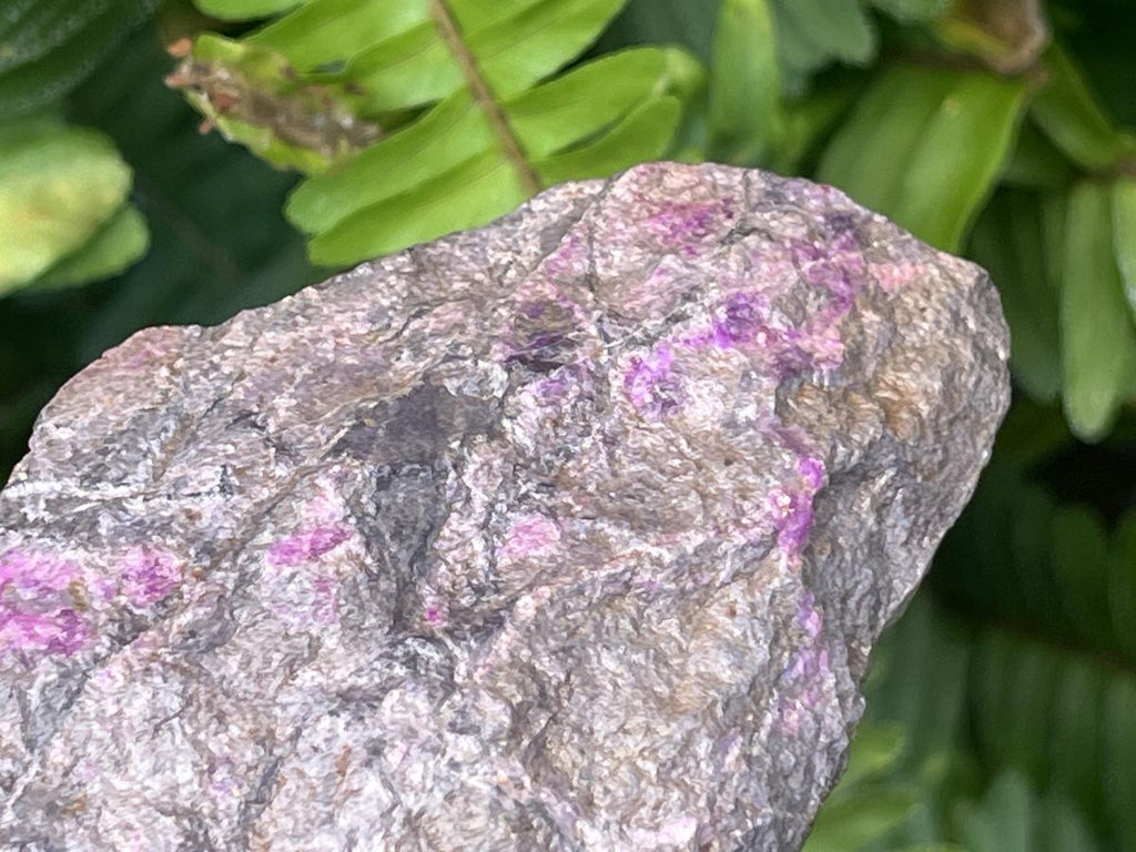 Natural Sugilite Specimen x 1 From Wessels Mine , Northern Cape ,South Africa