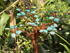 Hand Made Amazonite and Copper Wire Gemstone Tree x 1 From Zimbabwe