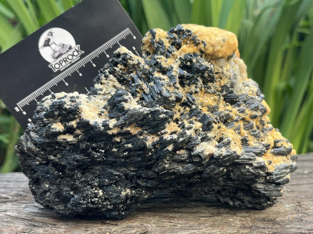 Natural Schorl Black Tourmaline Specimen x 1 From Erongo, Namibia