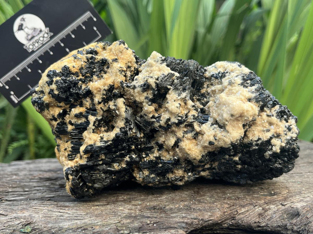 Natural Schorl Black Tourmaline Specimen x 1 From Erongo, Namibia