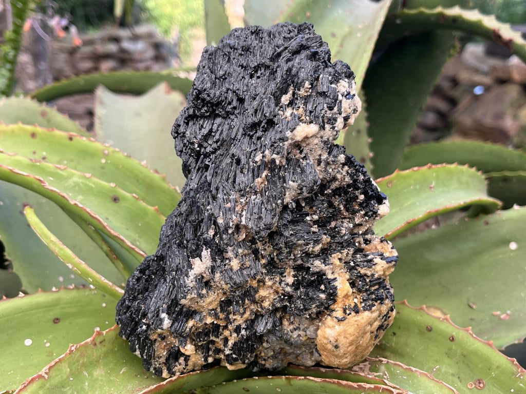 Natural Schorl Black Tourmaline Specimen x 1 From Erongo, Namibia