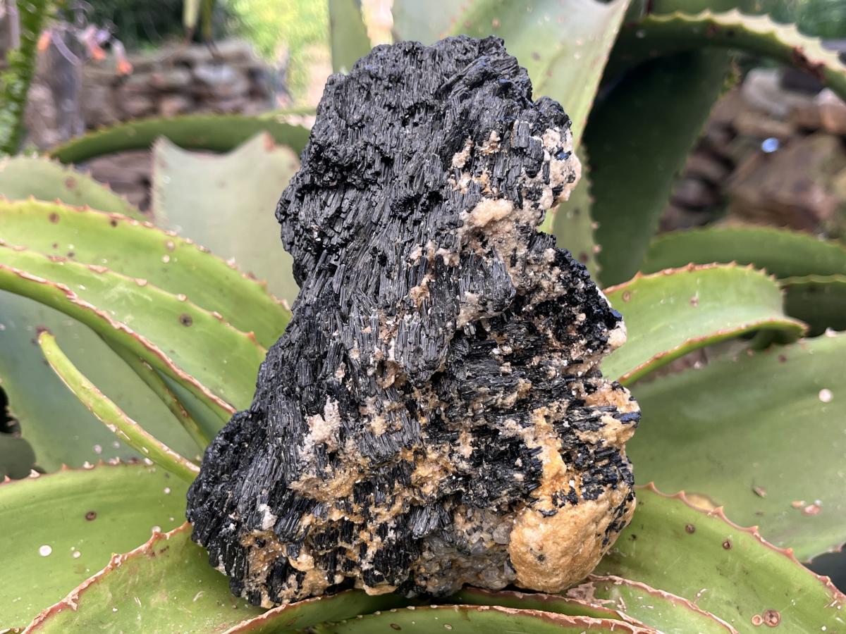 Natural Schorl Black Tourmaline Specimen x 1 From Erongo, Namibia