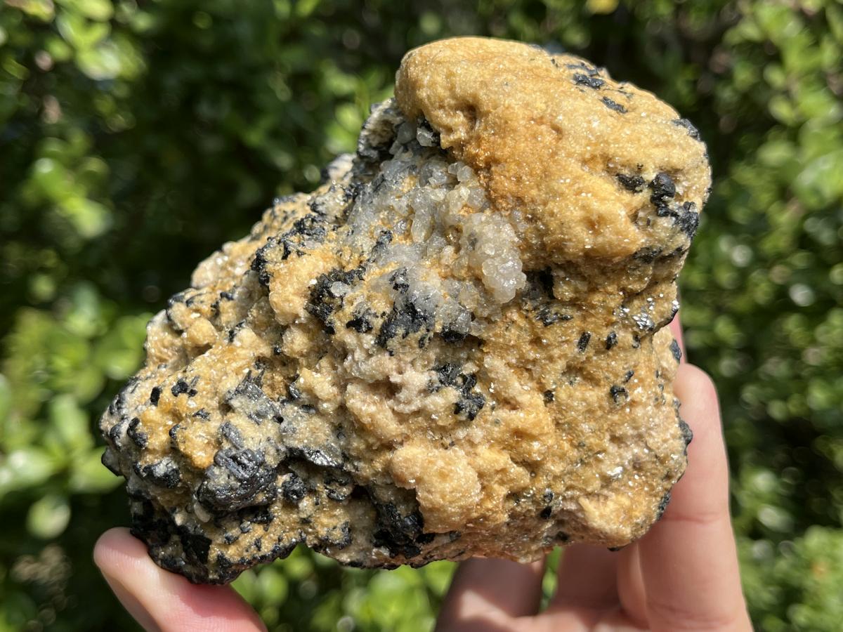 Natural Schorl Black Tourmaline Specimen x 1 From Erongo, Namibia