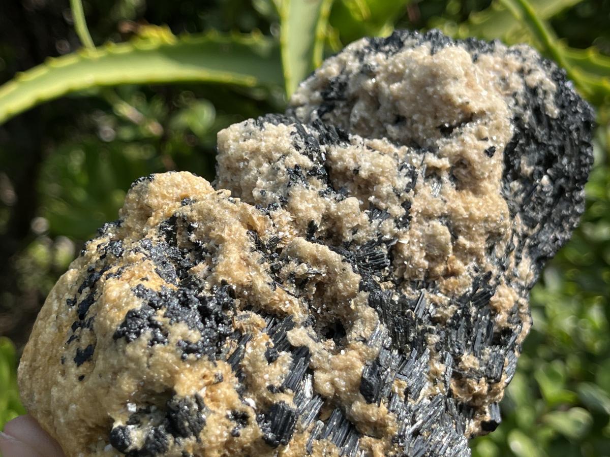 Natural Schorl Black Tourmaline Specimen x 1 From Erongo, Namibia