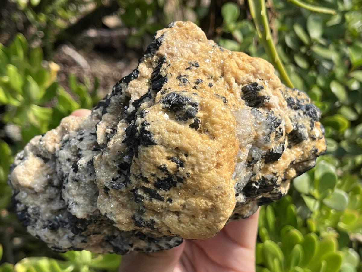 Natural Schorl Black Tourmaline Specimen x 1 From Erongo, Namibia