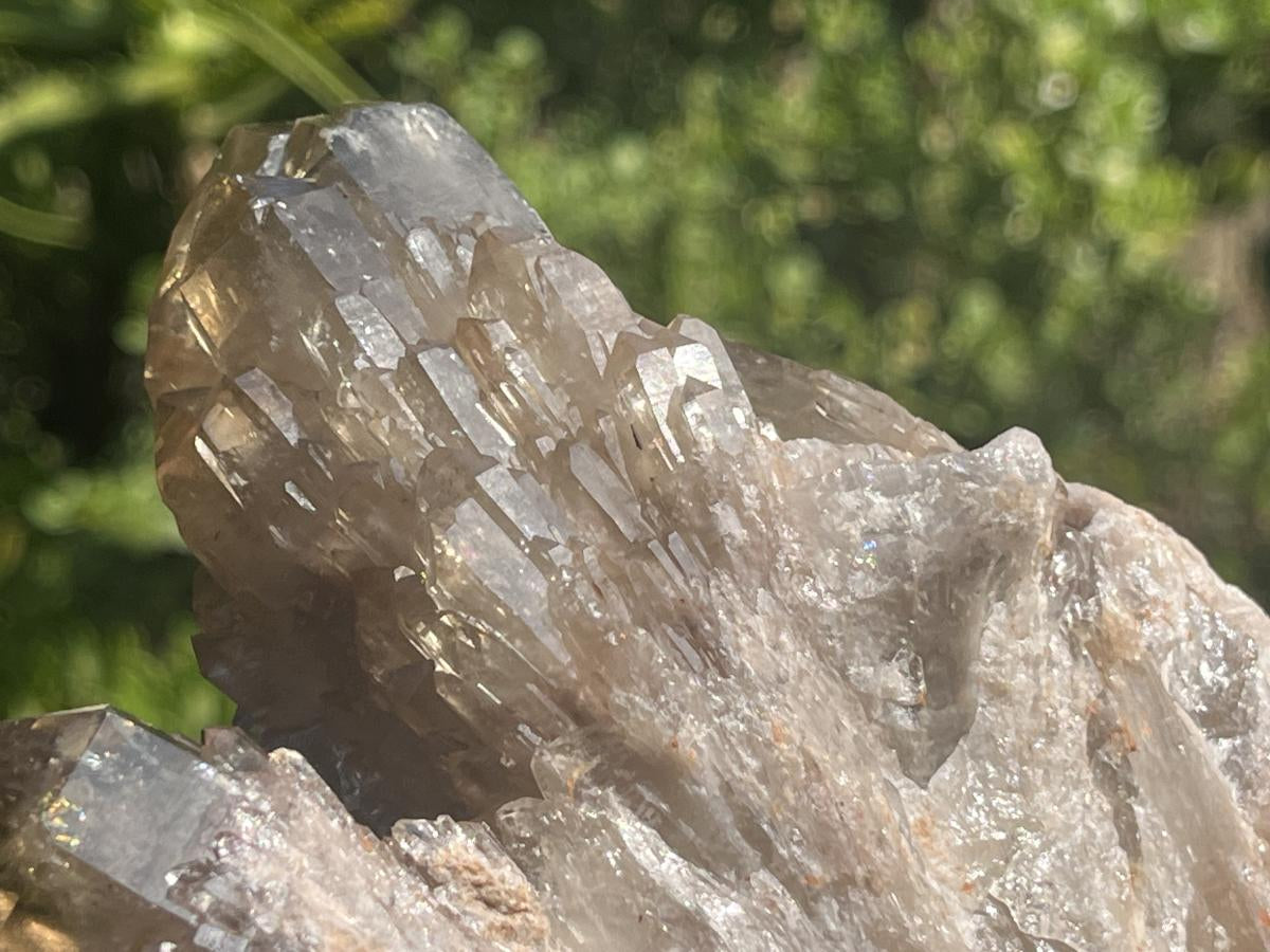 Natural Cascading Smokey Citrine Crystal Cluster x 1 From Luena, Congo