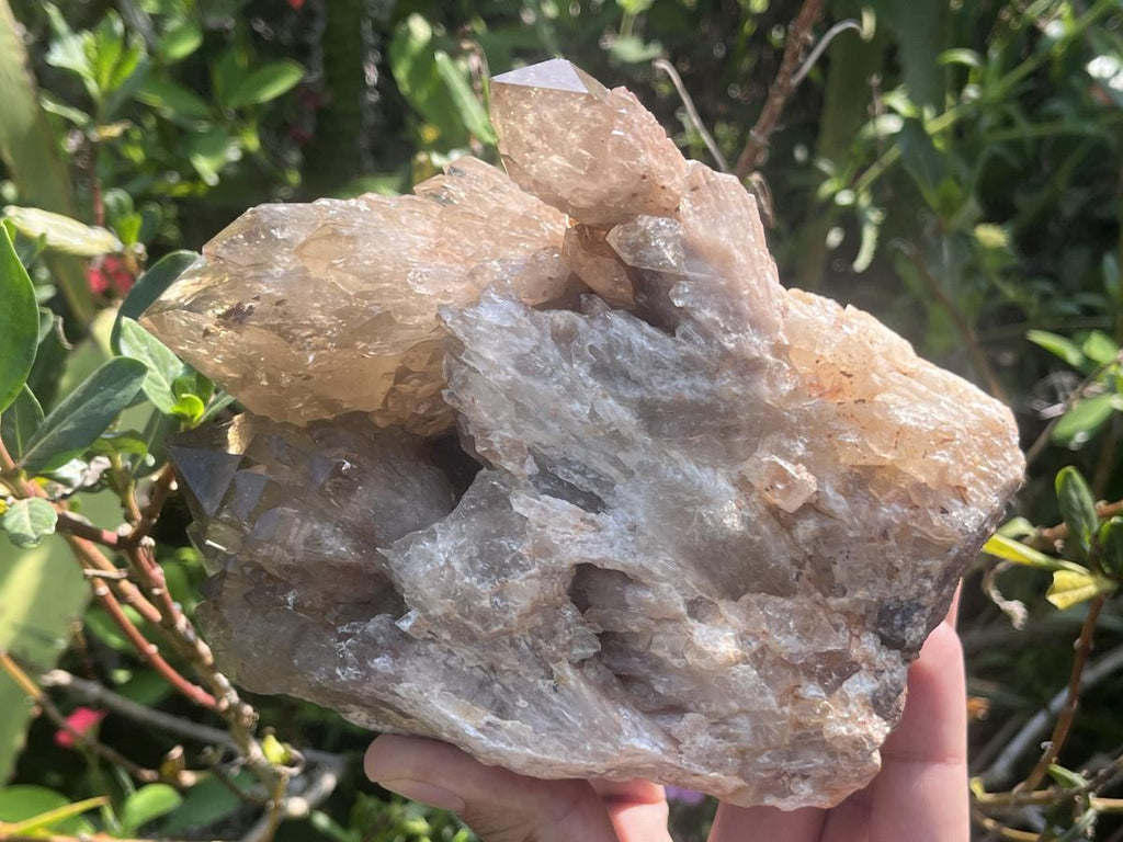 Natural Cascading Smokey Citrine Crystal Cluster x 1 From Luena, Congo
