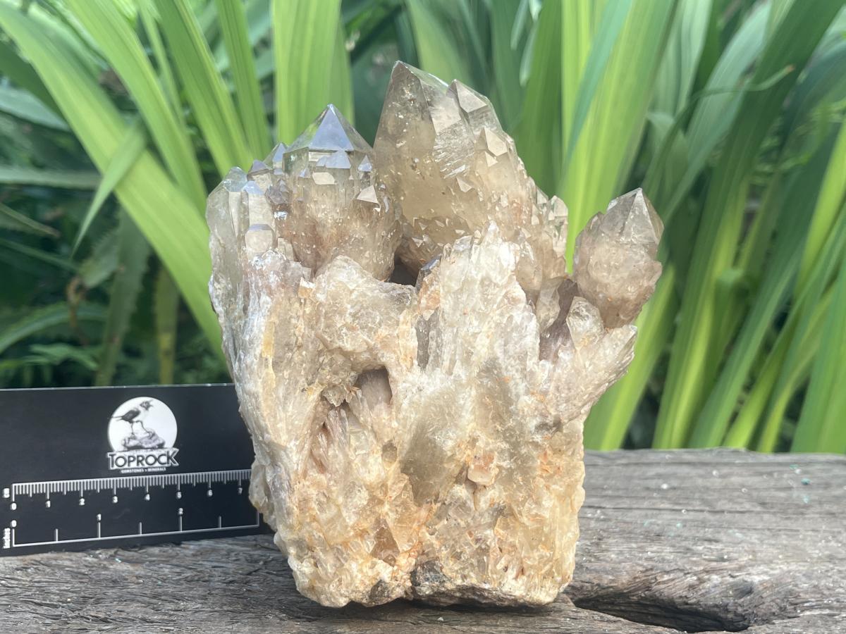 Natural Cascading Smokey Citrine Crystal Cluster x 1 From Luena, Congo