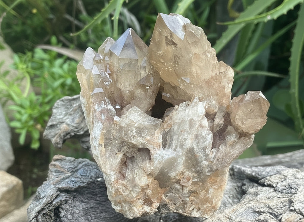Natural Cascading Smokey Citrine Crystal Cluster x 1 From Luena, Congo