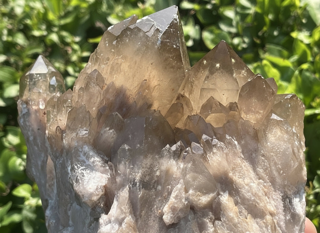 Natural Cascading Smokey Citrine Crystal Cluster x 1 From Luena, Congo