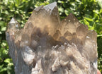 Natural Cascading Smokey Citrine Crystal Cluster x 1 From Luena, Congo