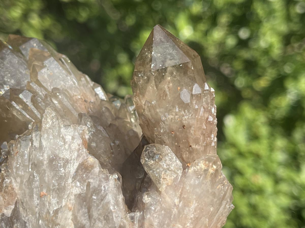 Natural Cascading Smokey Citrine Crystal Cluster x 1 From Luena, Congo