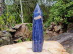 Polished XL Deep Blue Sodalite Crystal Tower x 1 From Kunene, Namibia