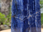 Polished XL Deep Blue Sodalite Crystal Tower x 1 From Kunene, Namibia