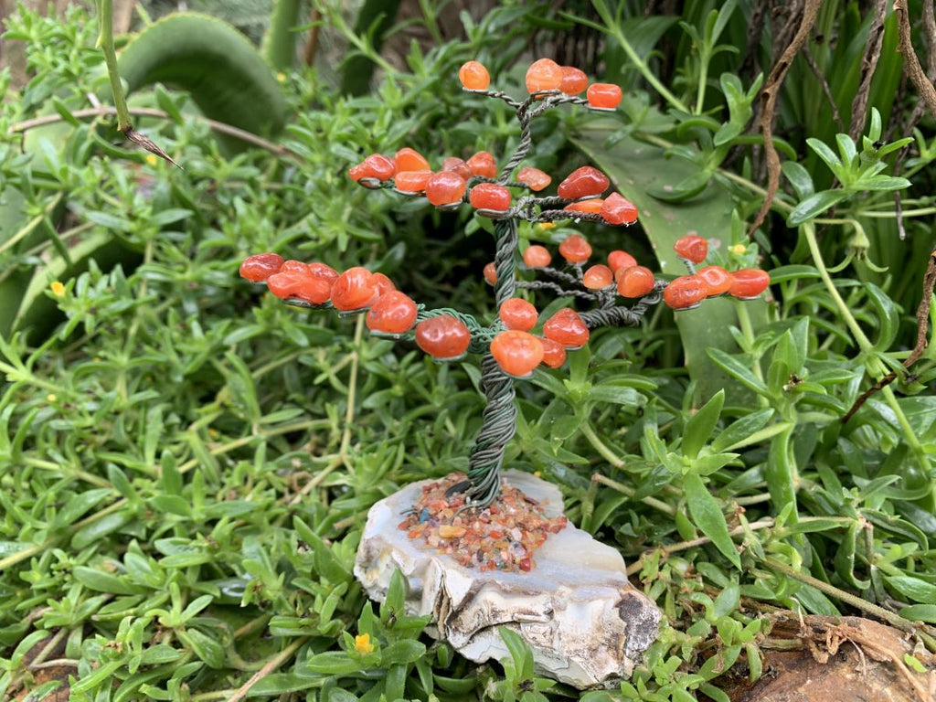 Hand Made Copper Wire Carnelian Gemstone Tree on an Agate Base x 1 From Botswana