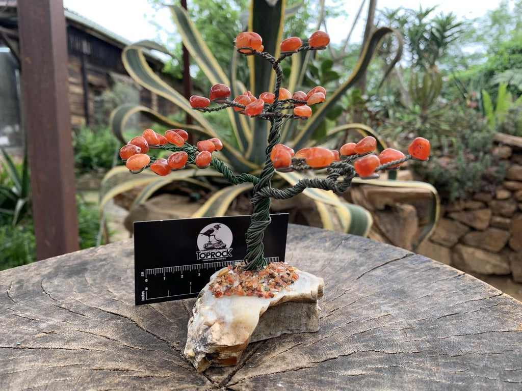 Hand Made Copper Wire Carnelian Gemstone Tree on an Agate Base x 1 From Botswana