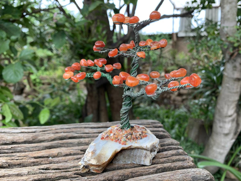 Hand Made Copper Wire Carnelian Gemstone Tree on an Agate Base x 1 From Botswana