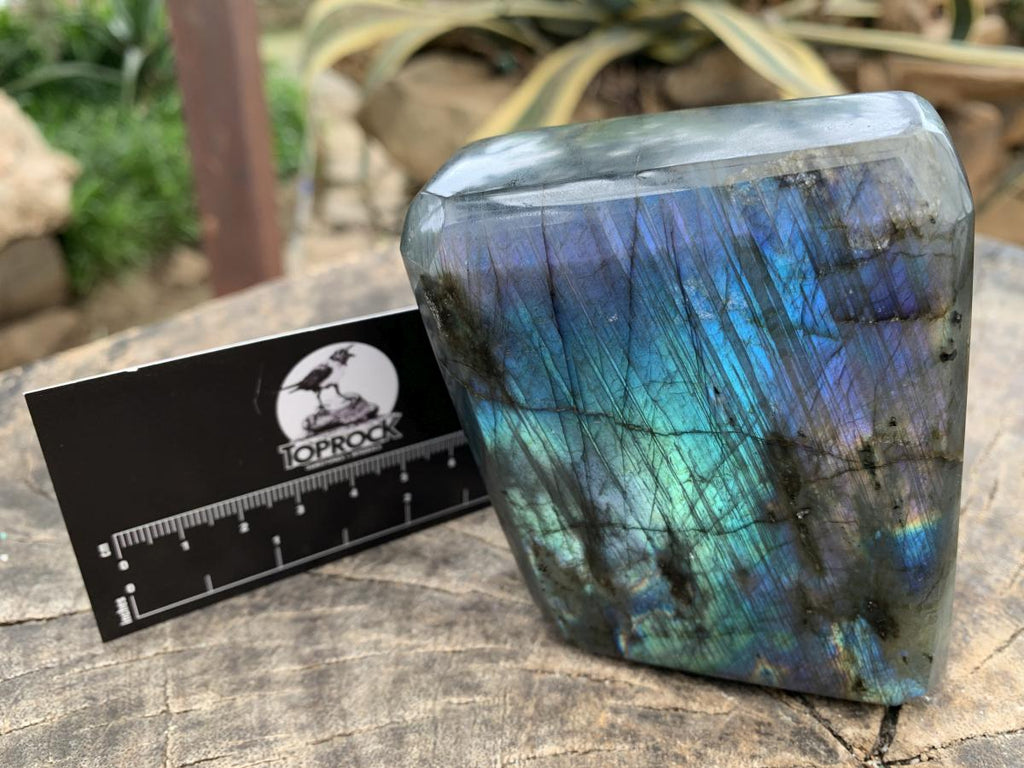 Polished Purple and Blue Flash Labradorite Faceted Standing Display Piece x 1 From Tulear, Madagascar