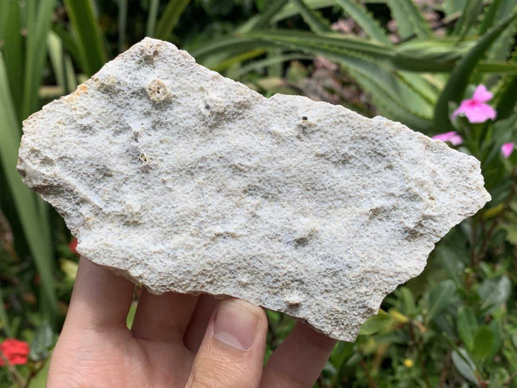 Natural Twin Snow Finger Crystal Cluster x 1 From Albert's Mountain, Lesotho