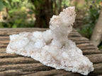 Natural Twin Snow Finger Crystal Cluster x 1 From Albert's Mountain, Lesotho