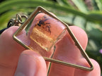 Hand Made Amber Pendant with Dragonfly Ancestor by Adre Designs x 1 From Nosy Varika, Madagascar